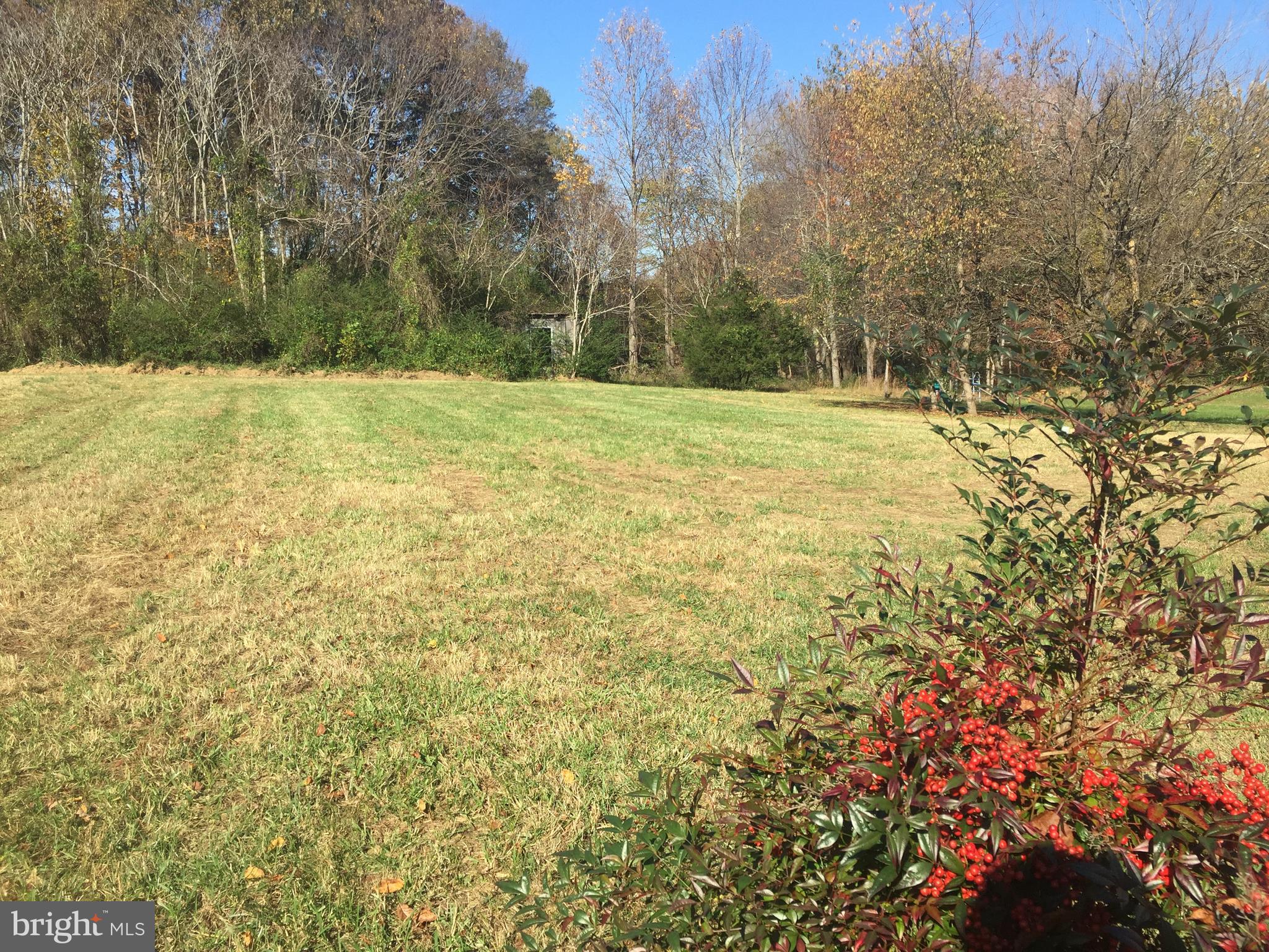 24155 Revercomb Road Lignum, VA 22726 - Photo 5 of 12 JUST UNDER 2 ACRES