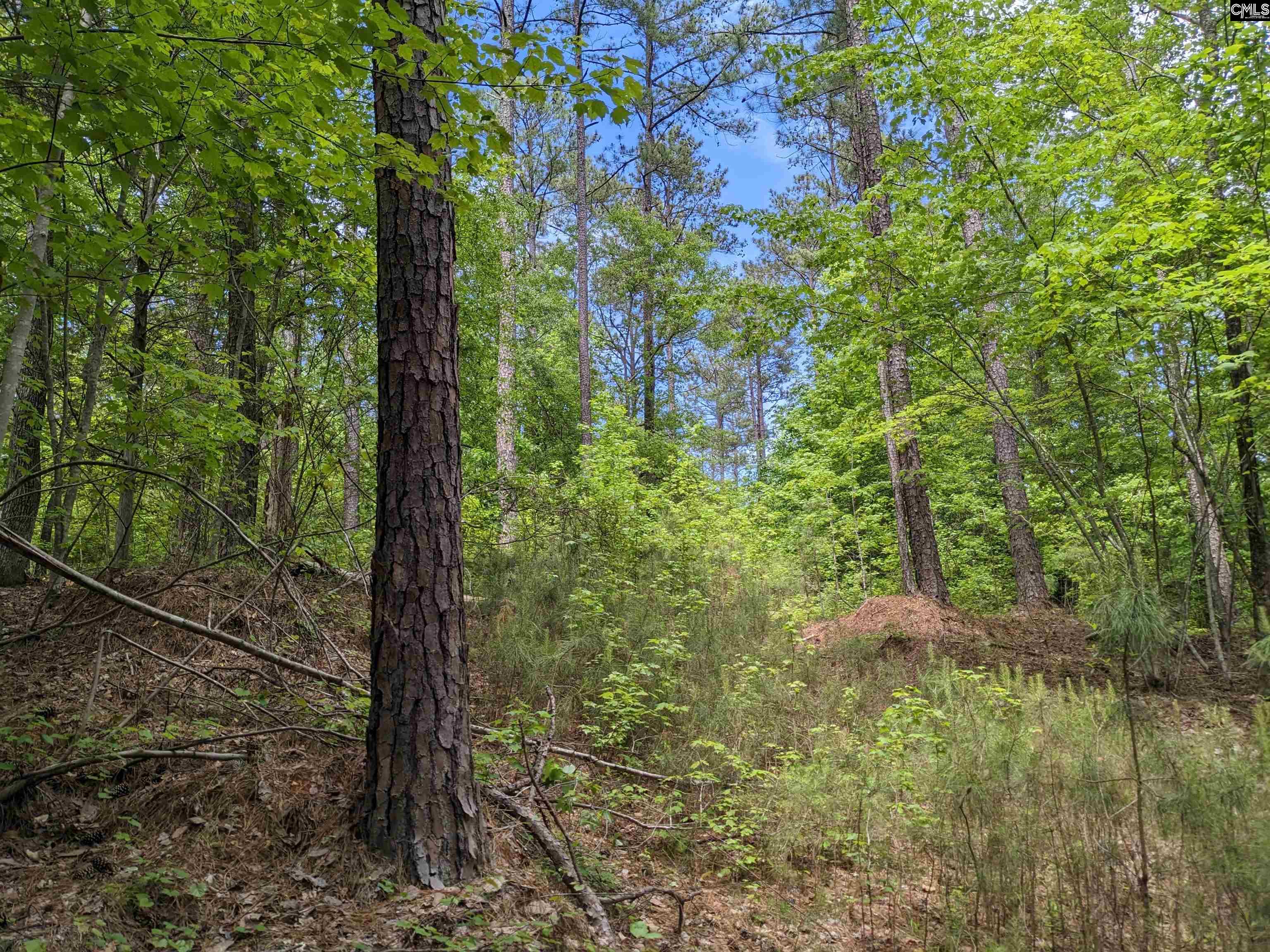 Syrup Mill Road Ridgeway, SC 29130 - Photo 28 of 33