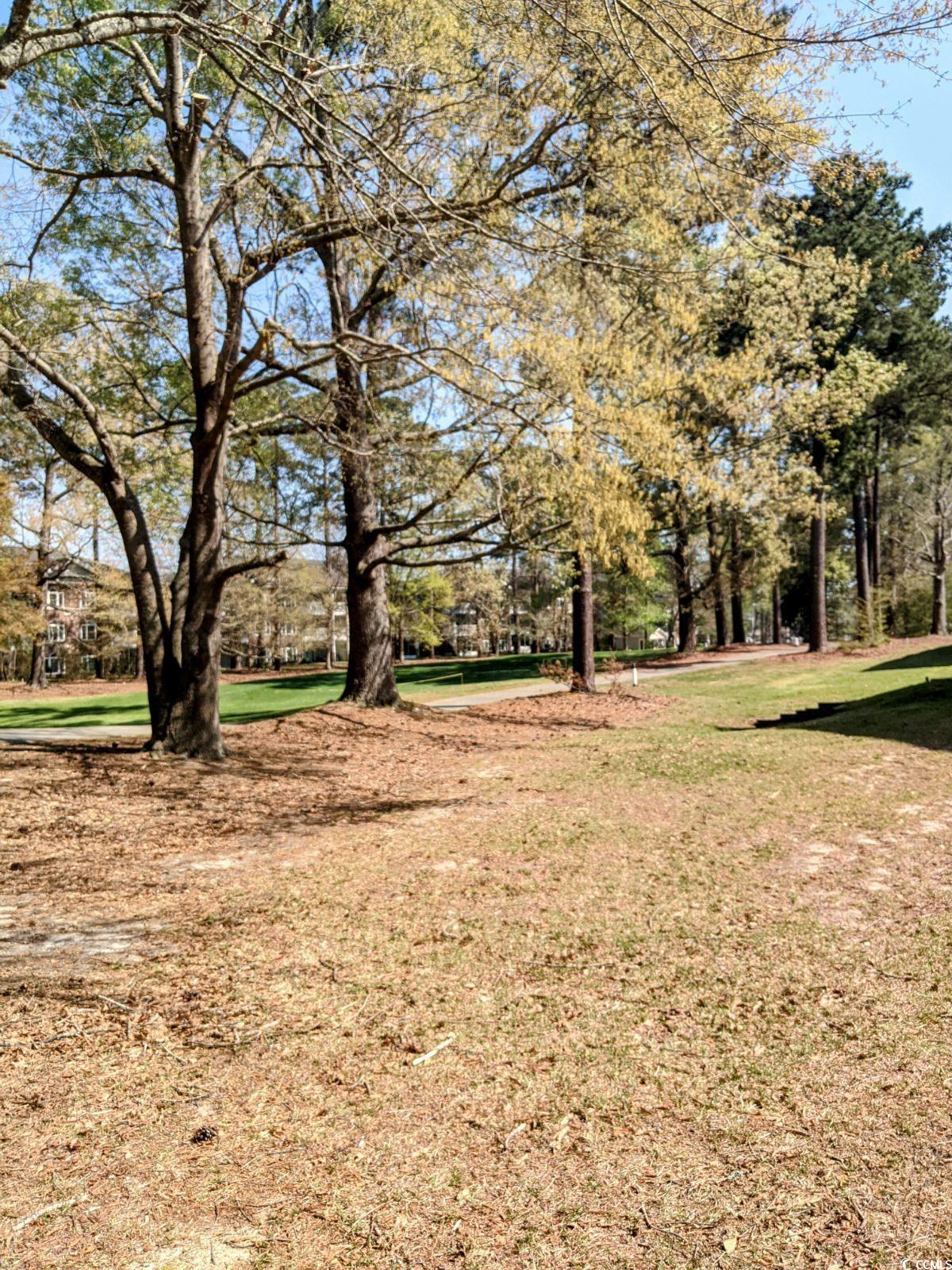 1525 Lanterns Rest Road, Unit 204 Myrtle Beach, SC 29579 - Photo 21 of 28 Gallery Image 21