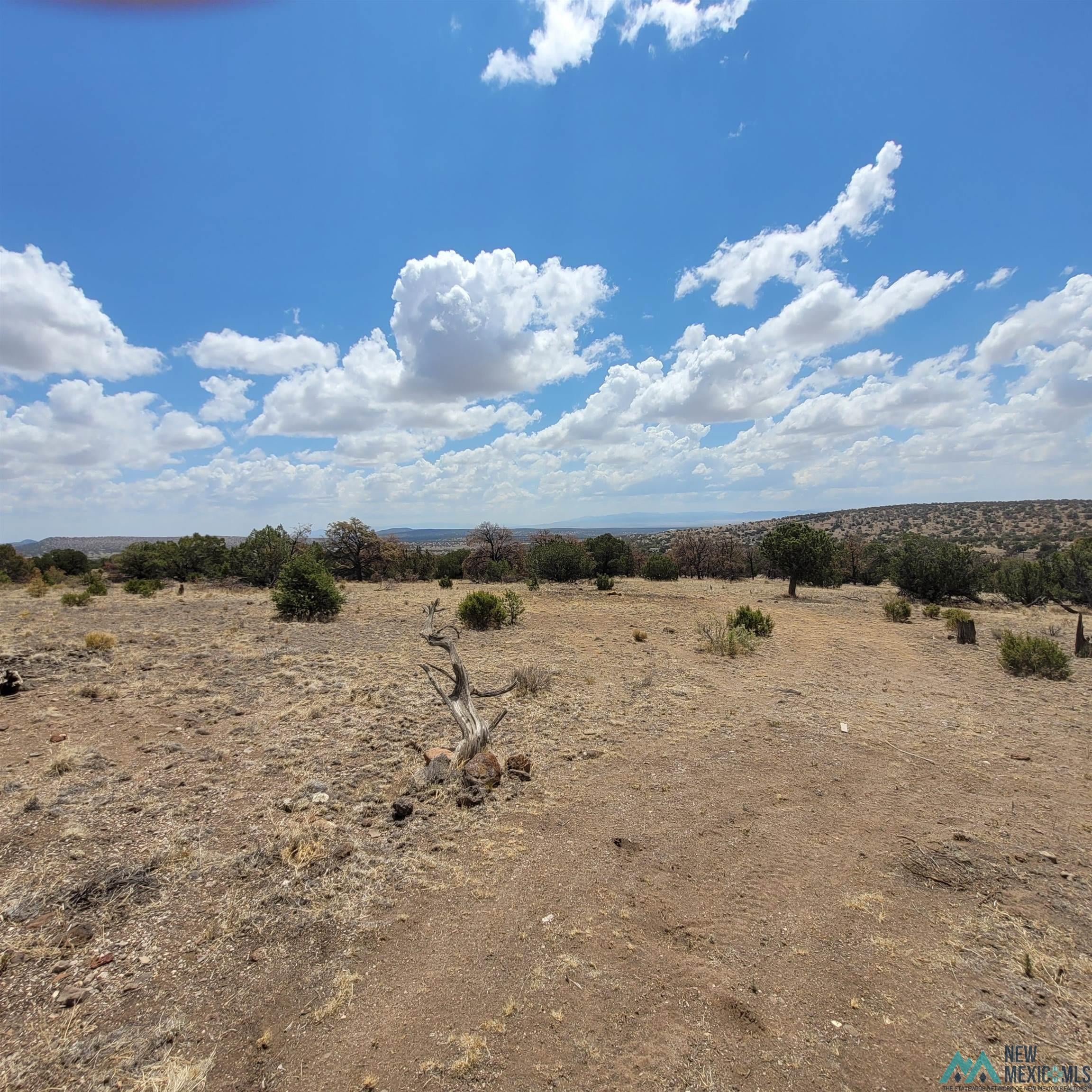 40 East Rock Loop Datil, NM 87821 - Photo 56 of 90 Gallery Image 56