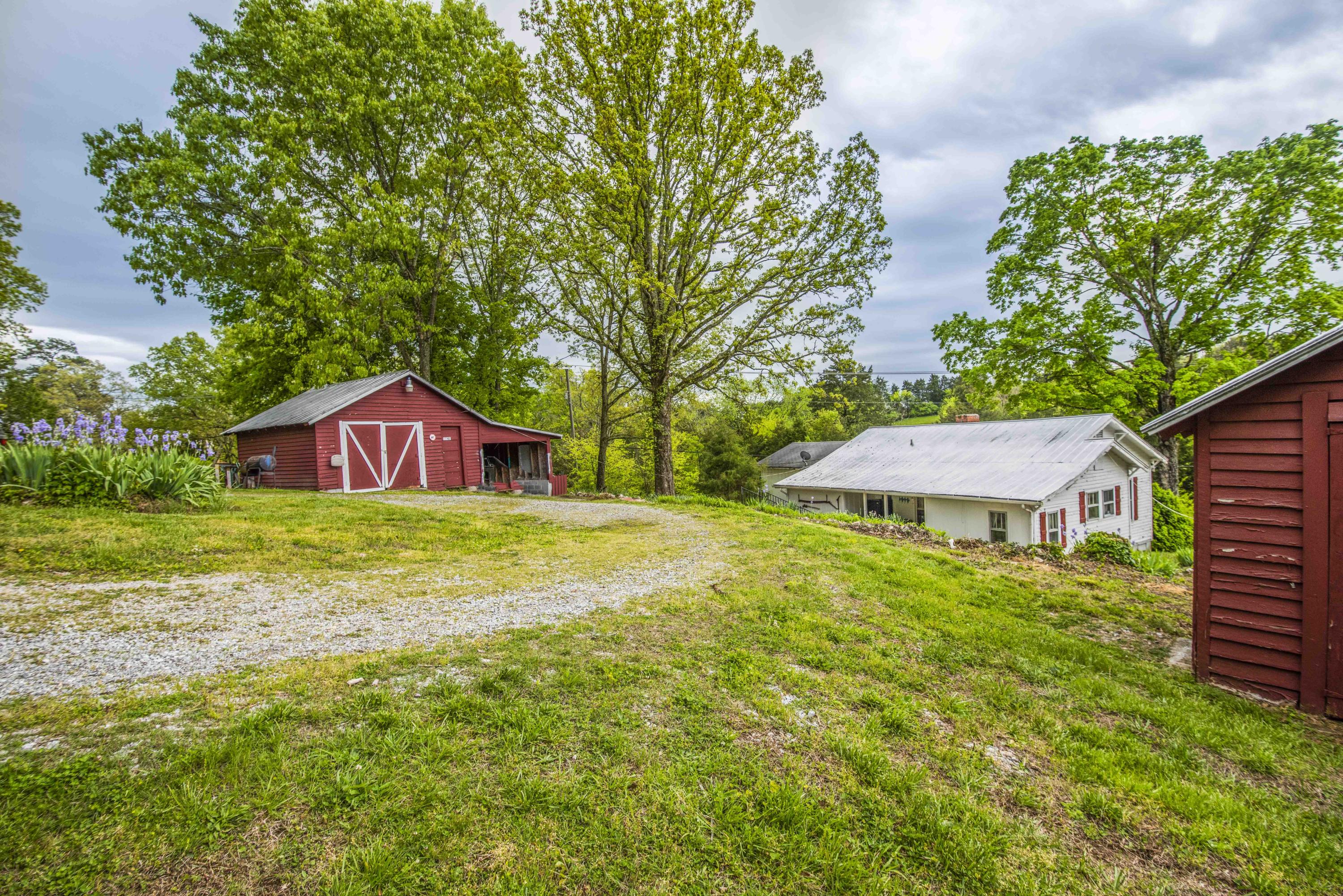 1147 Indian Ridge Road Blaine, TN 37709 - Photo 22 of 27 yard 5_1