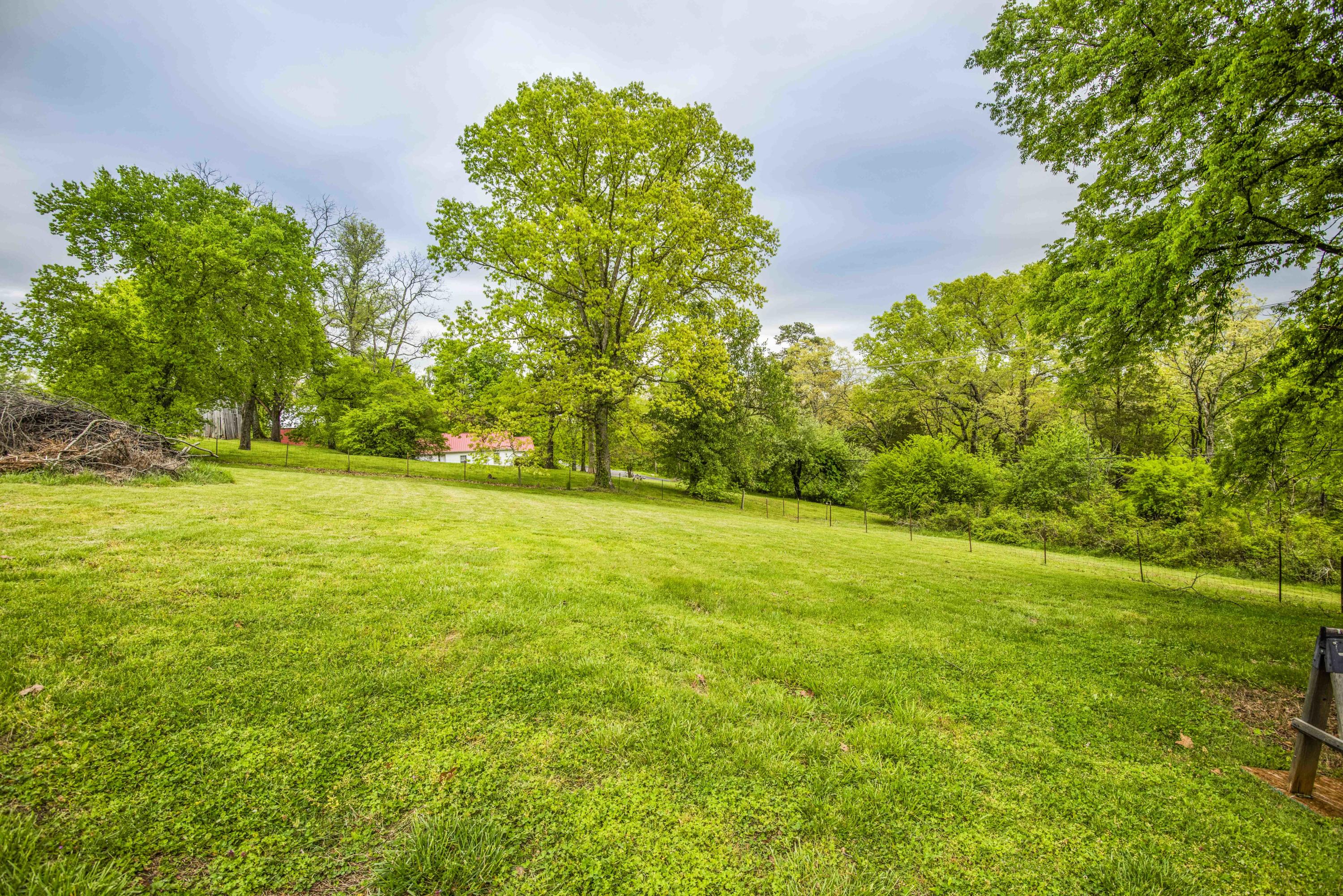 1147 Indian Ridge Road Blaine, TN 37709 - Photo 24 of 27 yard 4_1