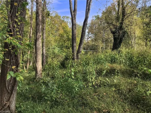 $145,000 | 0 Highway 268, Elkin, NC 28621