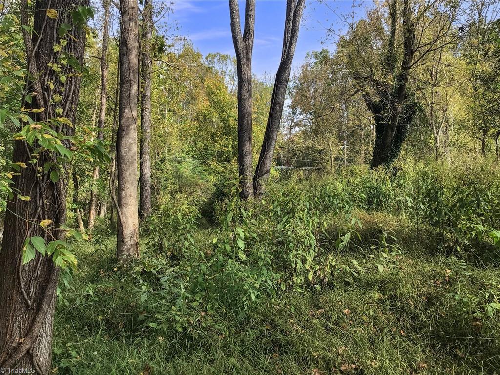 0 Highway 268 Elkin, NC 28621 - Photo 4 of 5