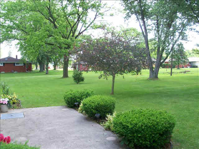 20358692-4.JPG
