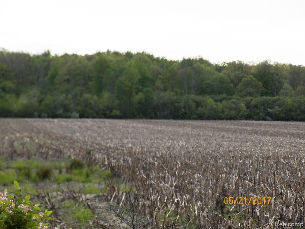 0 Keegan Road Emmett, MI 48022 - Photo 3 of 11