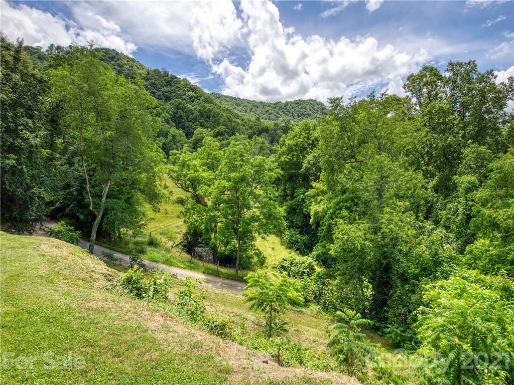 685 Osborne Road Clyde, NC 28721 - Photo 7 of 30 a backyard of a house with lots of green space