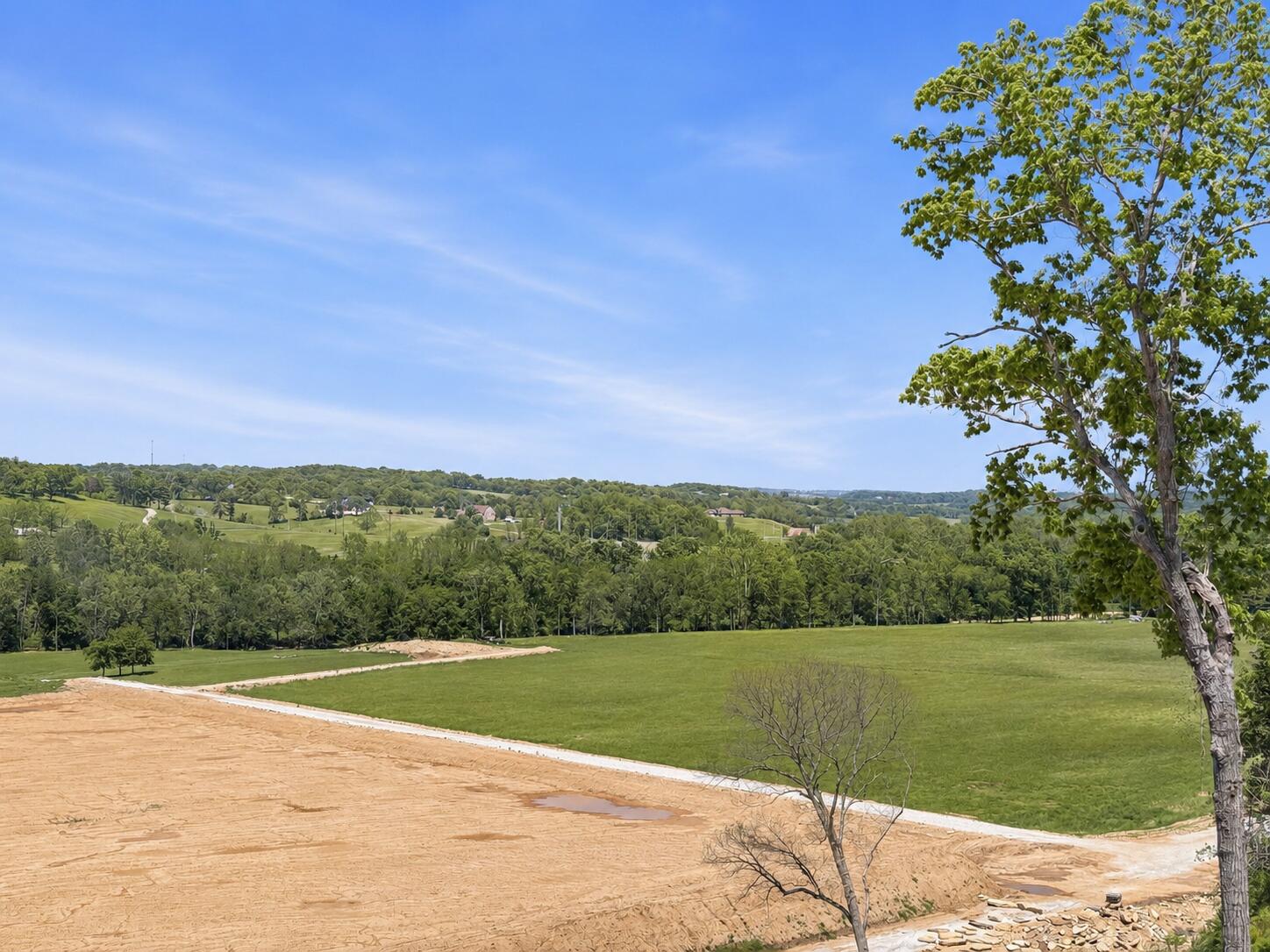 Lot 4 Longview Road Ozark, MO 65721 - Photo 4 of 25 IMG_8468