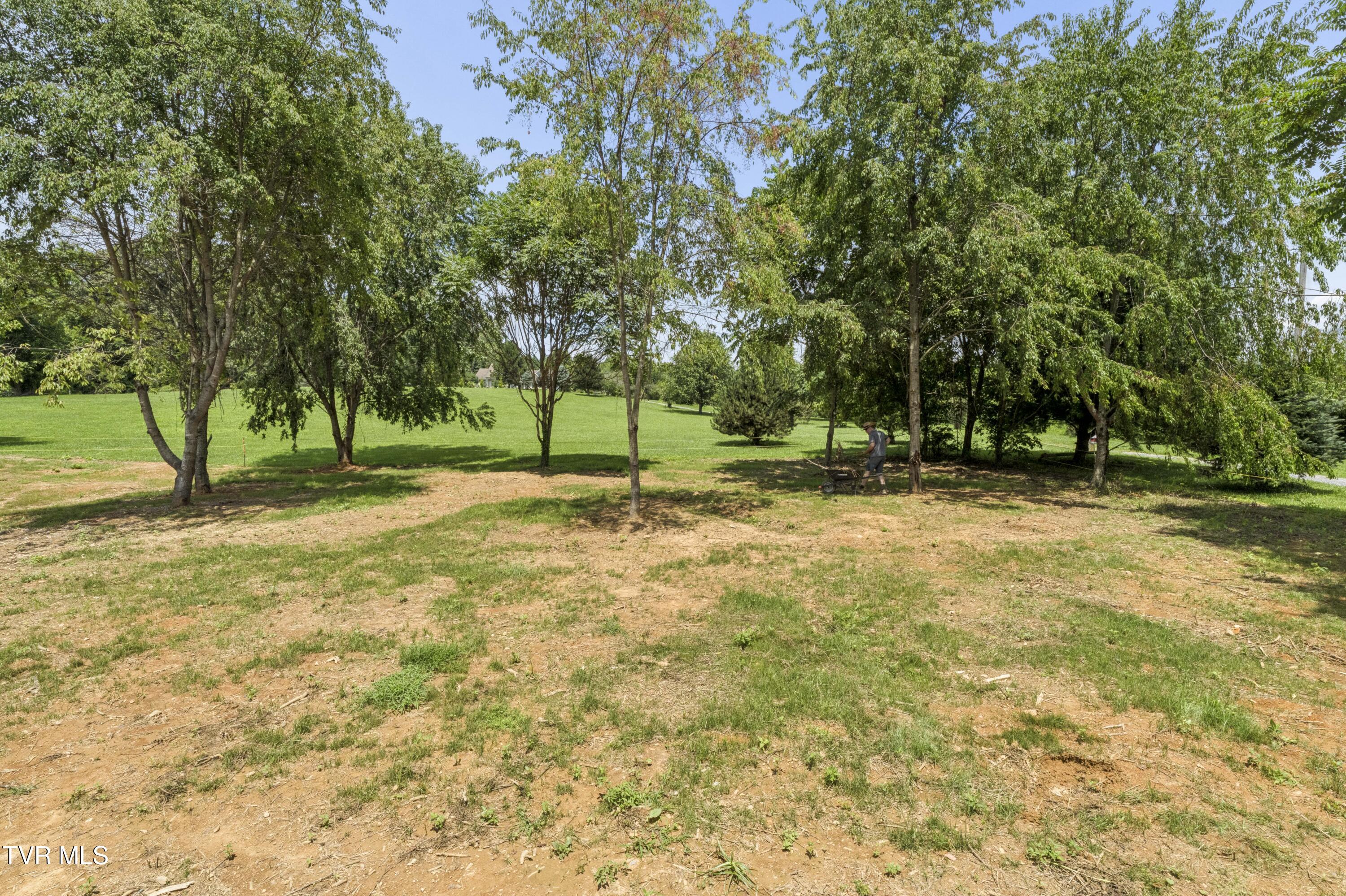 1505 Jearoldstown Road Chuckey, TN 37641 - Photo 39 of 50 Jearald-33