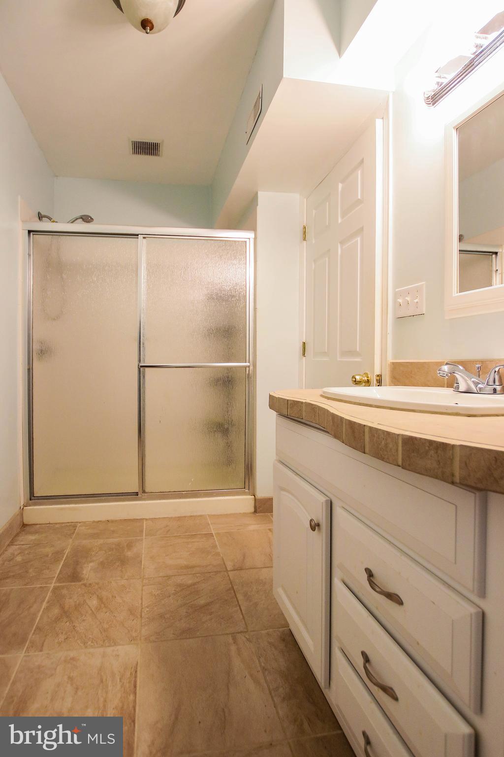 908 West Poplar Road Sterling, VA 20164 - Photo 26 of 31 Shower in Basement Bath