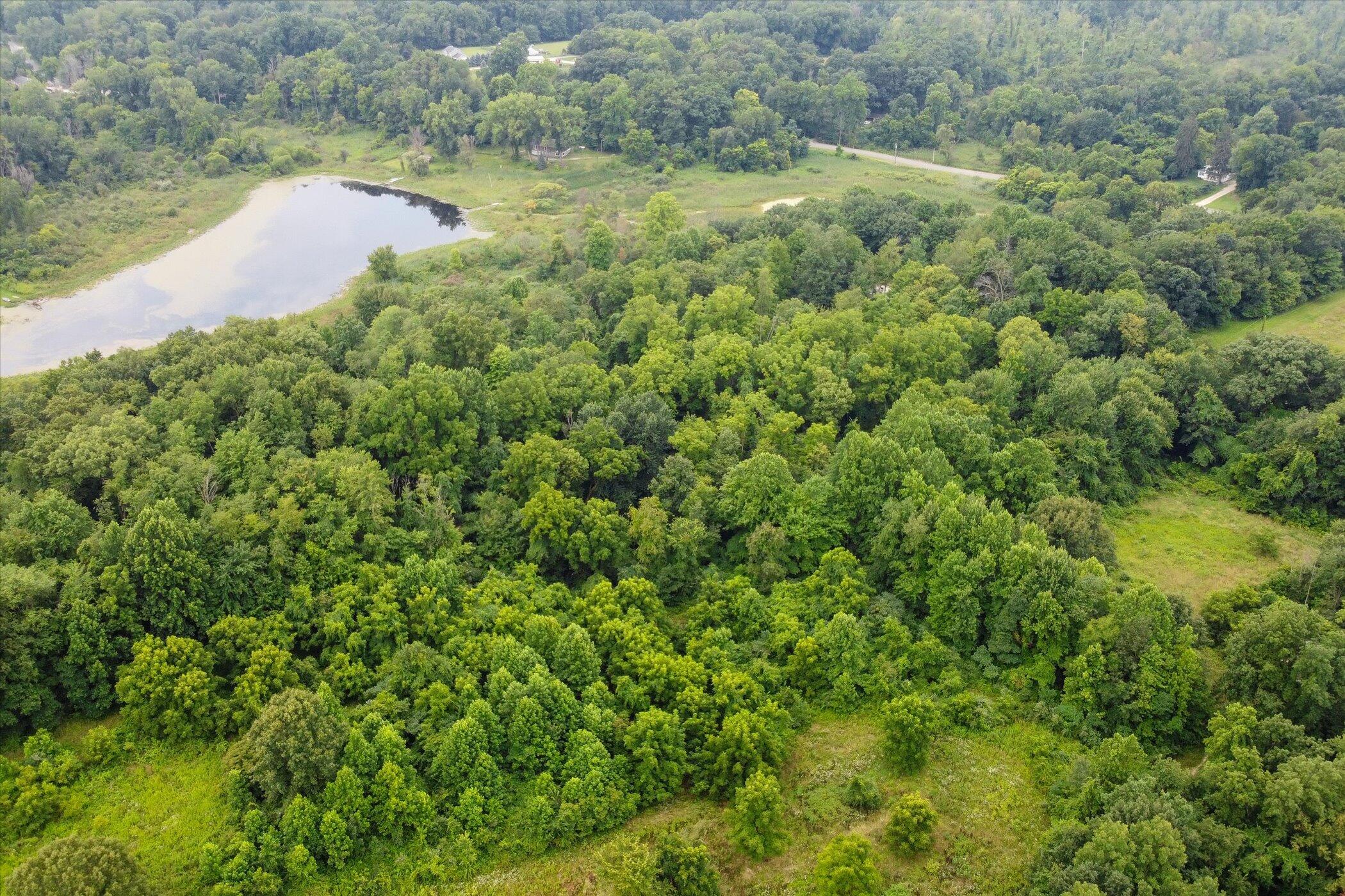 12297 Garr Road Buchanan, MI 49107 - Photo 13 of 19 Viewing Pleasure
