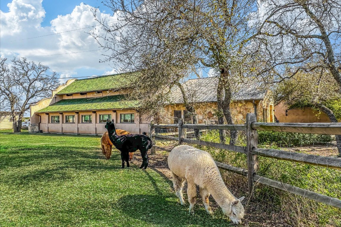 343 Pug Rippy Dripping Springs, TX 78620 - Photo 39 of 40 Camp Lucy Cuties
