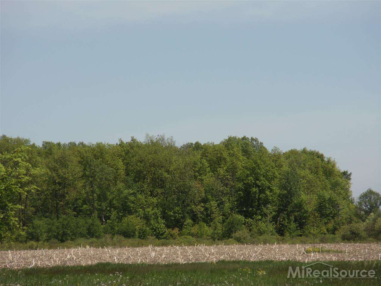 31206063-3.JPG