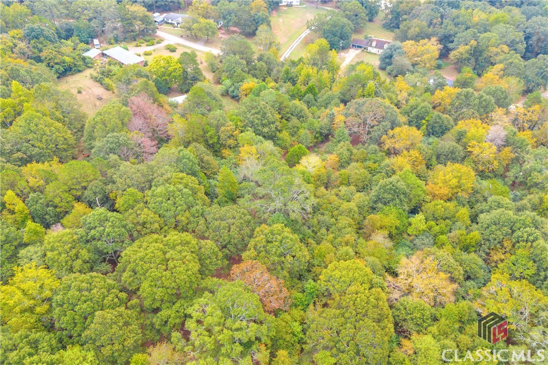 0 Cedar Nicholson, GA 30565 - Photo 11 of 17