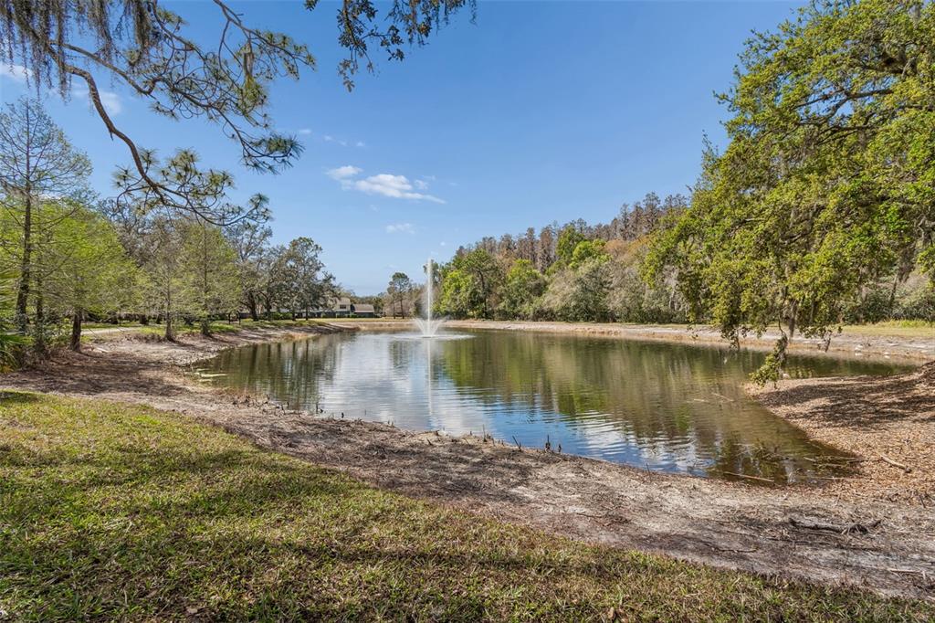 5100 Burchette Road, Unit 2900 Tampa, FL 33647 - Photo 25 of 32