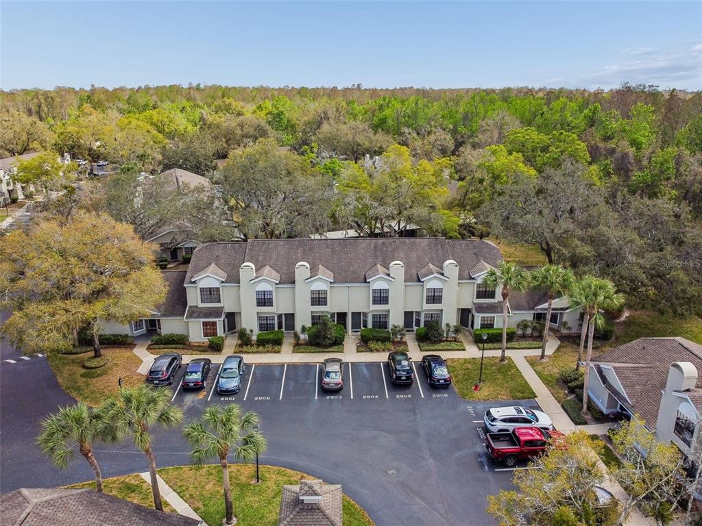 5100 Burchette Road, Unit 2900 Tampa, FL 33647 - Photo 30 of 32