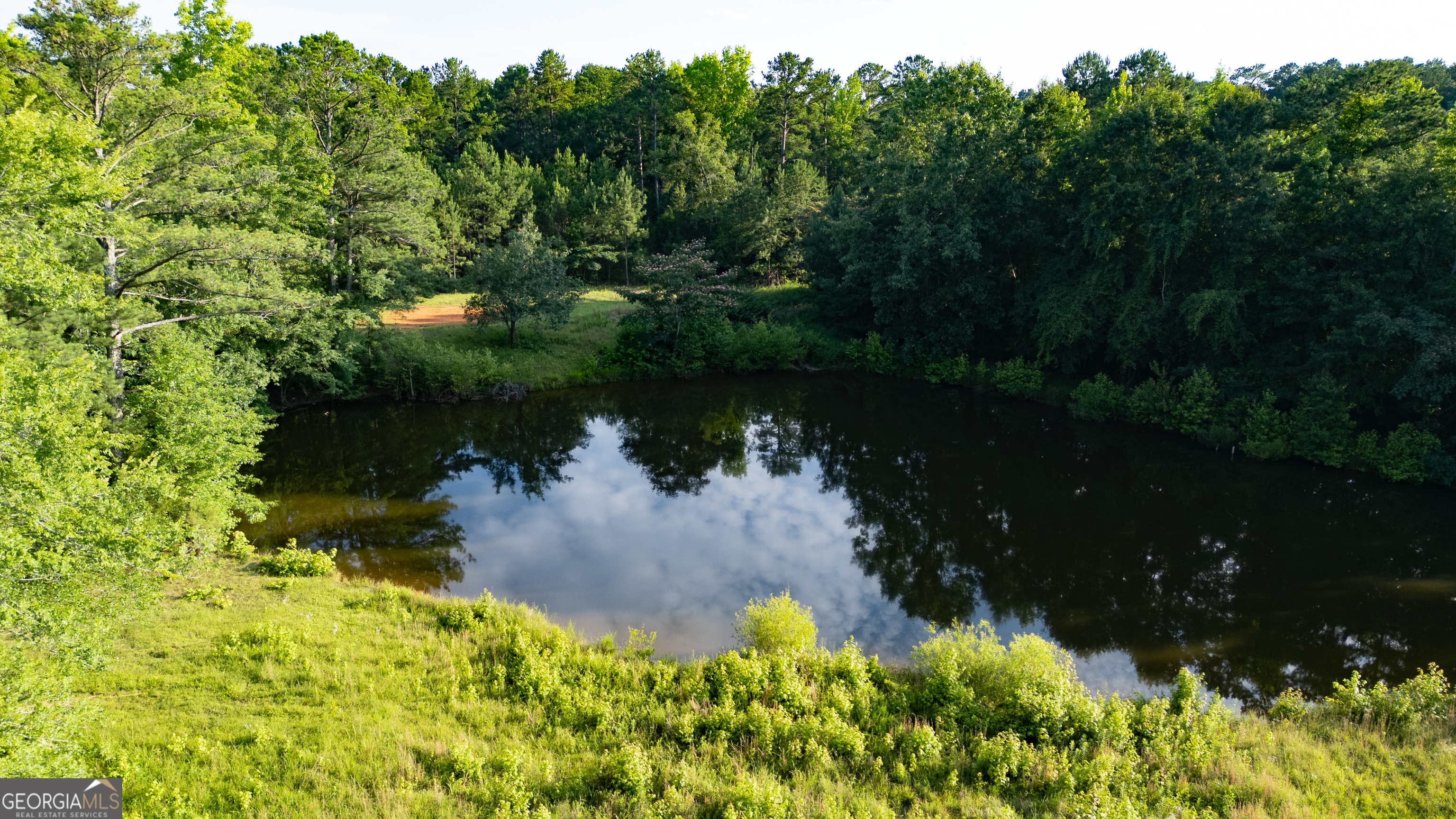 1073 Blount Road Jackson, GA 30233 - Photo 11 of 34
