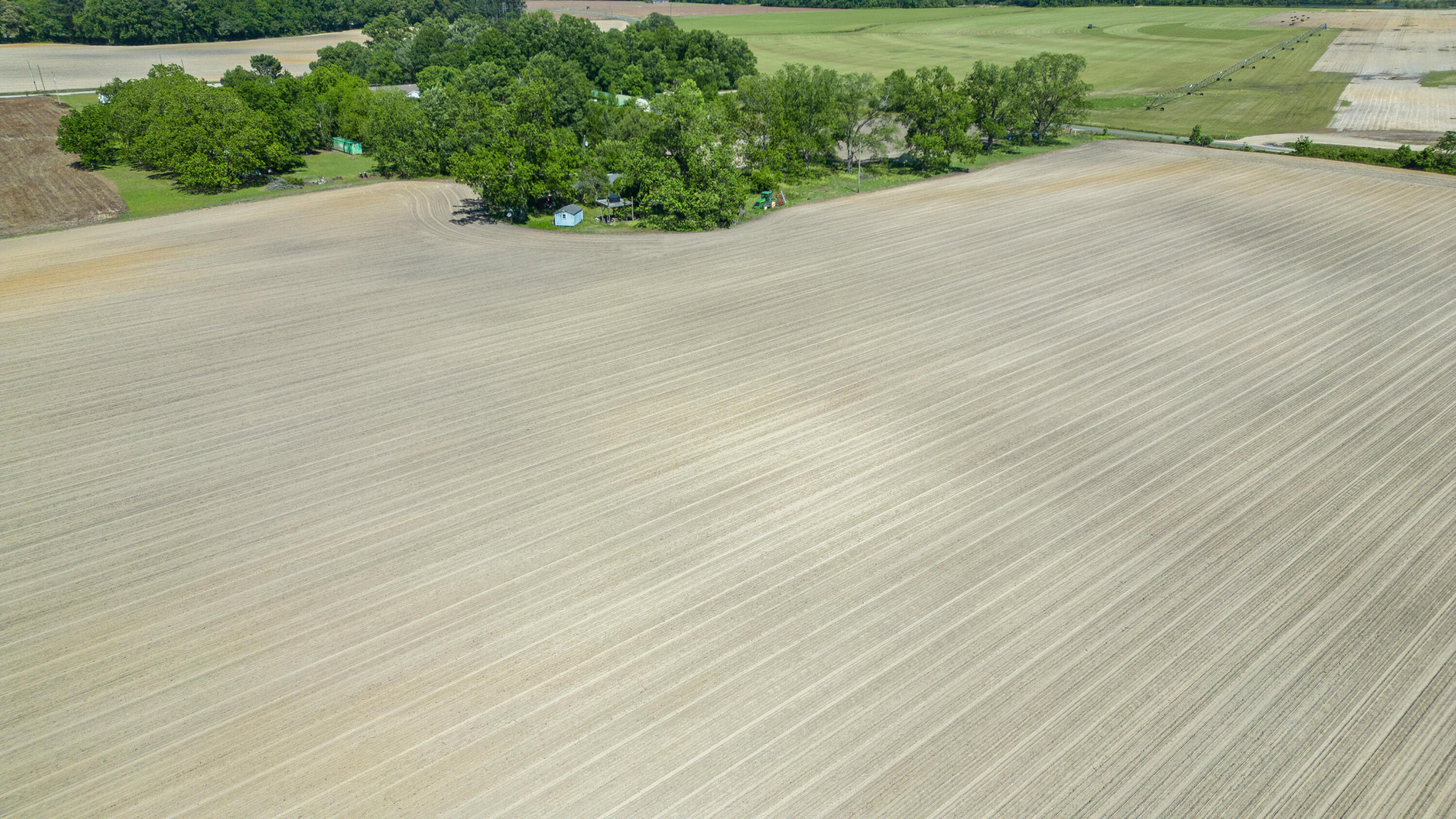 1344 Farmers Road Elloree, SC 29047 - Photo 6 of 8 DJI_0180