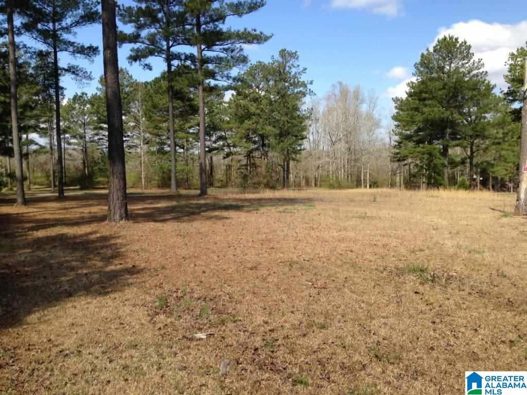 870 Beaver Ridge Drive, Unit 1 Ashville, AL 35953 - Photo 3 of 4