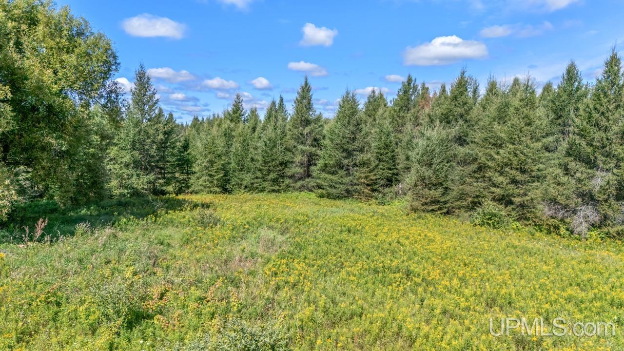 3549 D Road Bark River, MI 49807 - Photo 22 of 24