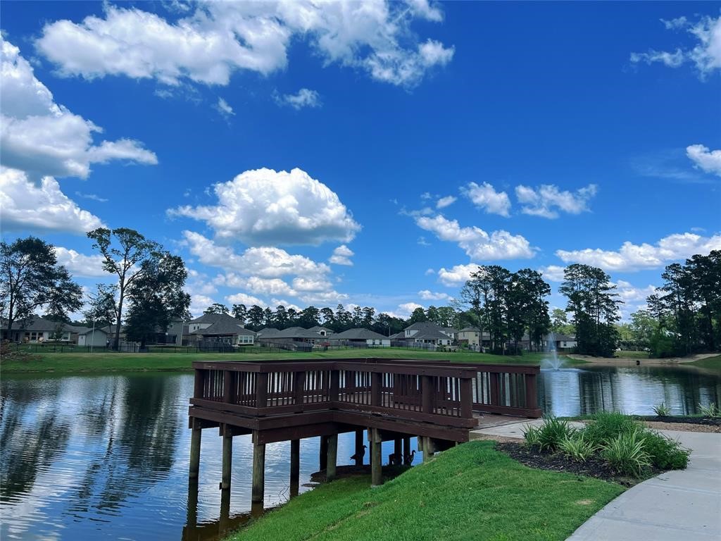 126 Courageous Side Way Magnolia, TX 77354 - Photo 24 of 28