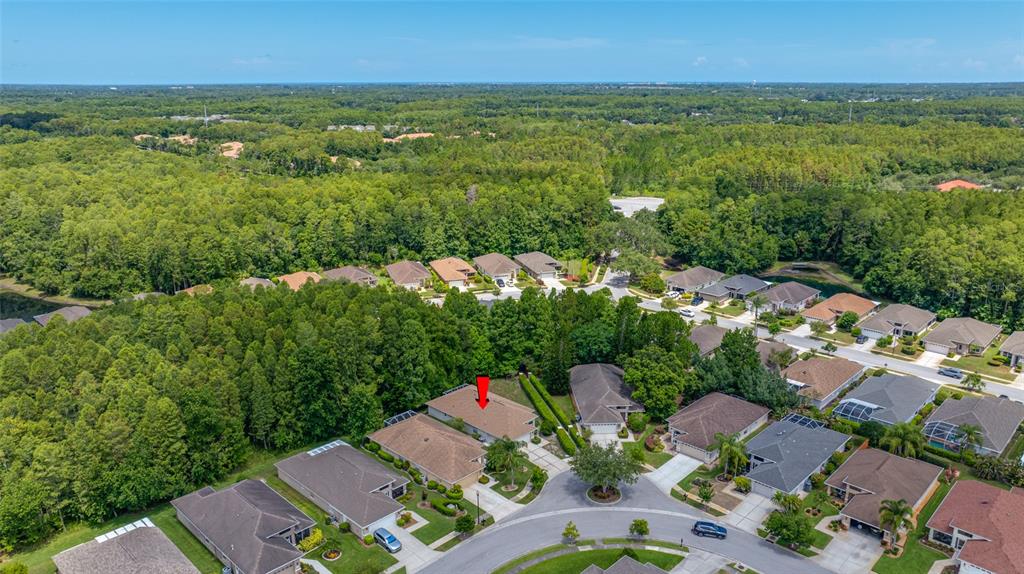 7740 Craighurst Loop Trinity, FL 34655 - Photo 46 of 65