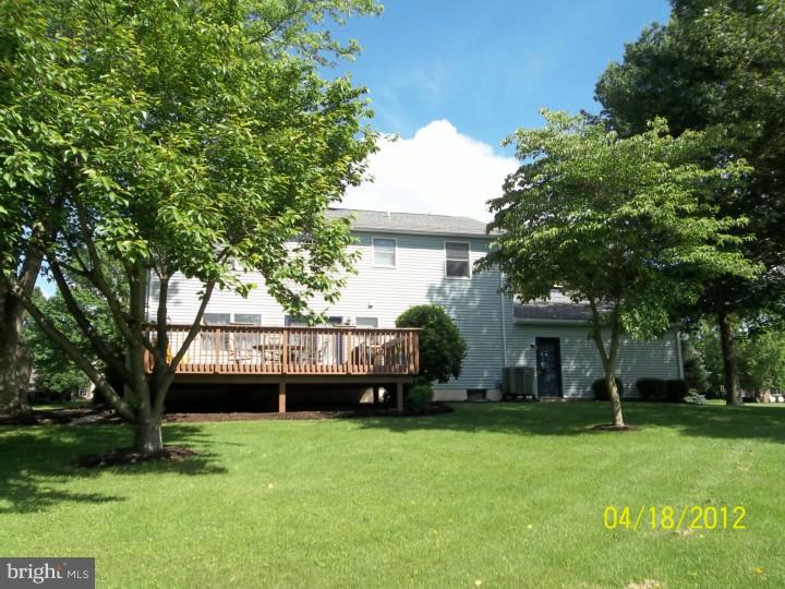 Exterior Back