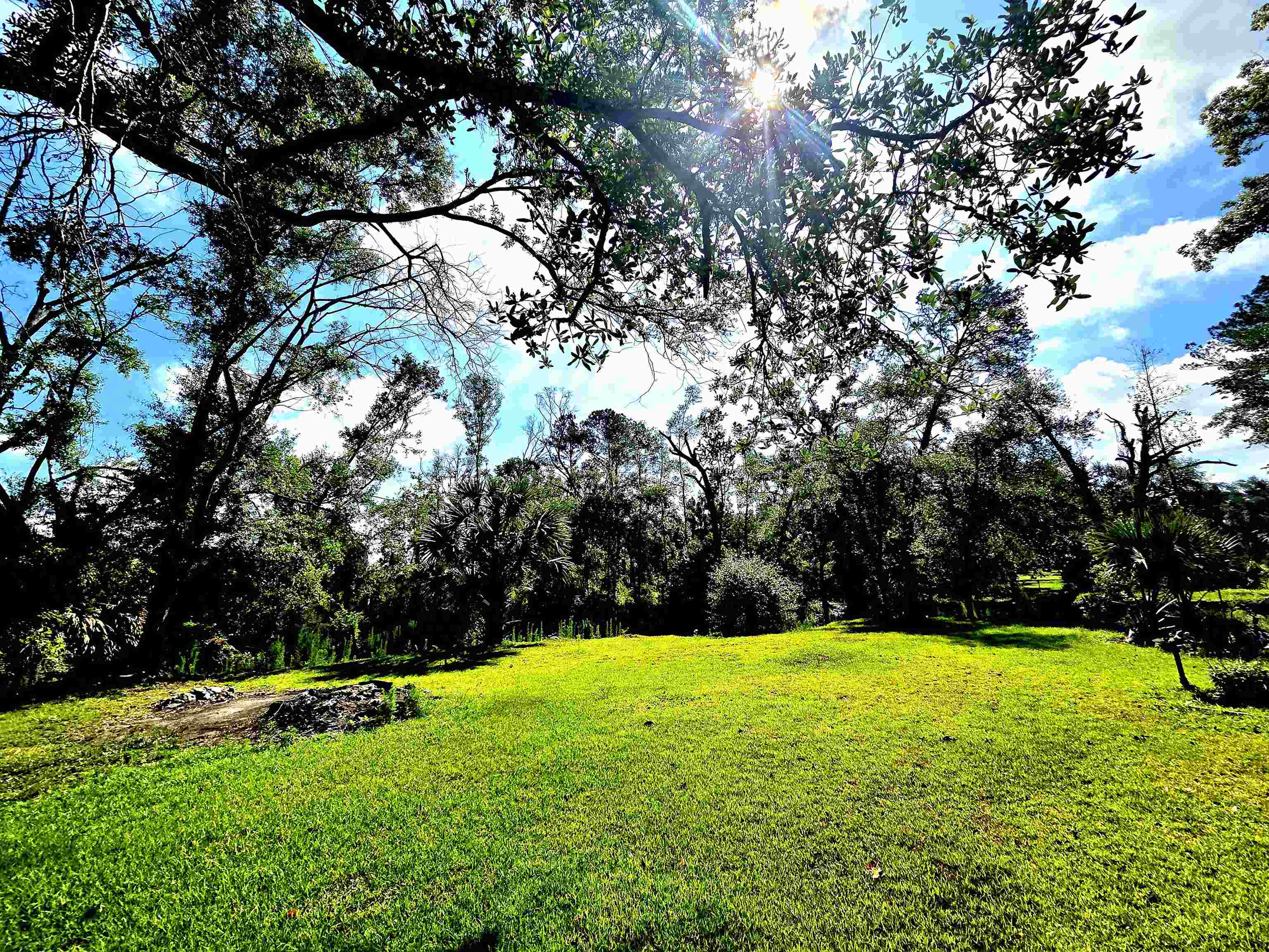 585 Mangum-Close Road Perry, FL 32347 - Photo 36 of 56
