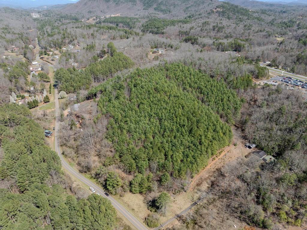 8-acres Old Murphy Road Murphy, NC 28906 - Photo 7 of 10
