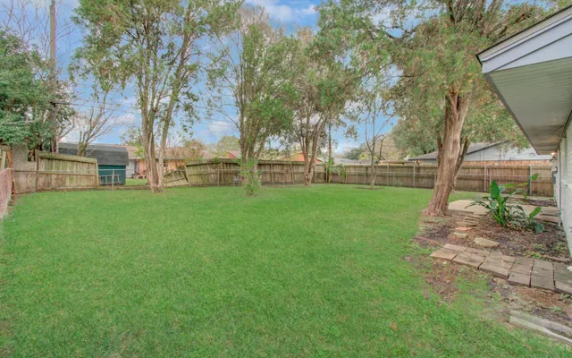 a view of a park with large trees
