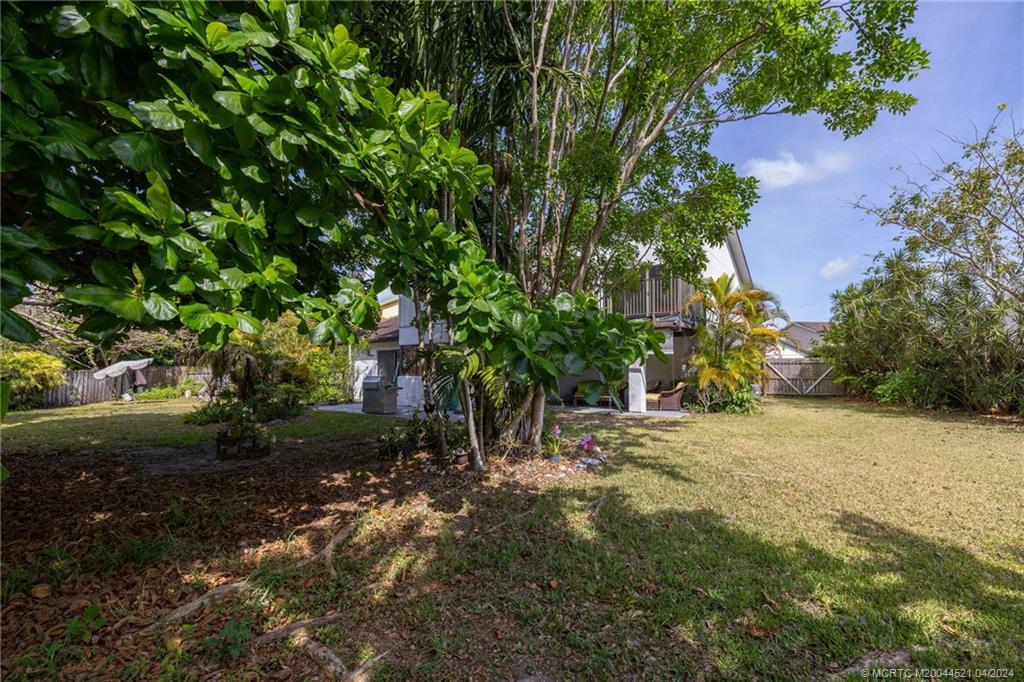 12775 Southwest 110th Terrace Miami, FL 33186 - Photo 28 of 36 a view of a tree in a yard