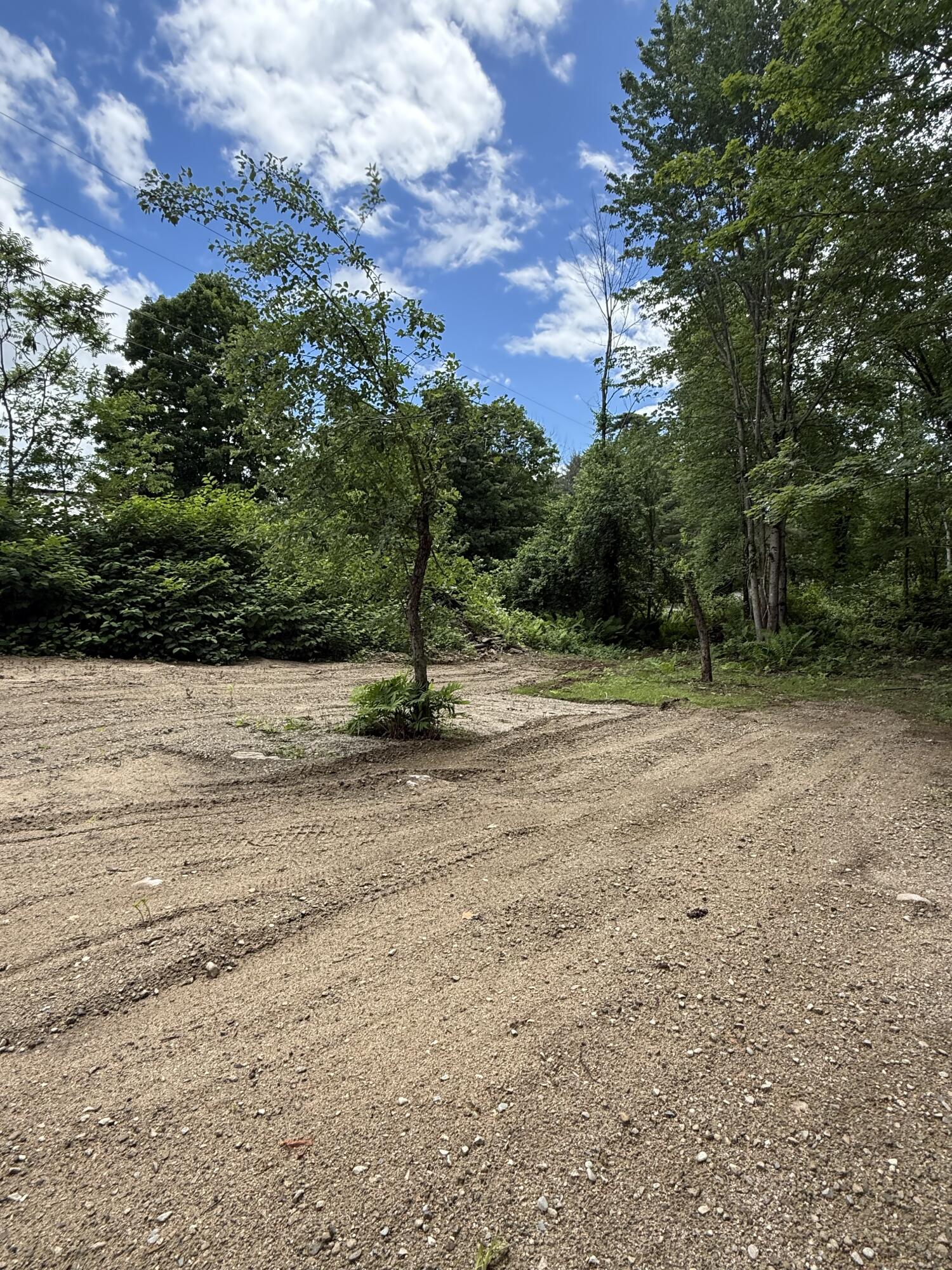 620 Sanborn Road Acton, ME 04001 - Photo 6 of 6 Apple Tree