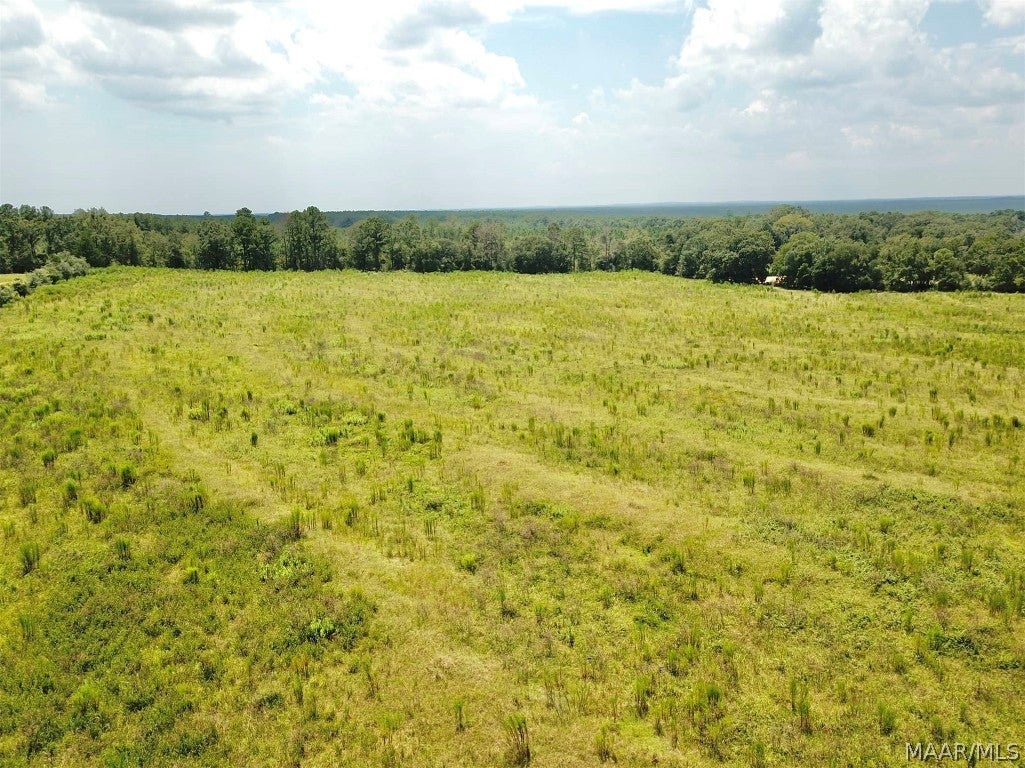94-acres Ballard Road Black, AL 36314 - Photo 17 of 17 Gallery Image 17
