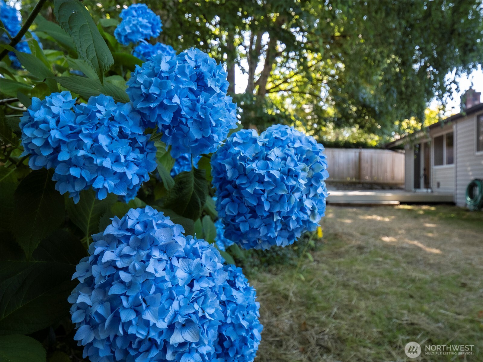 1908 Southeast 21st Place Renton, WA 98055 - Photo 25 of 32 Gallery Image 25