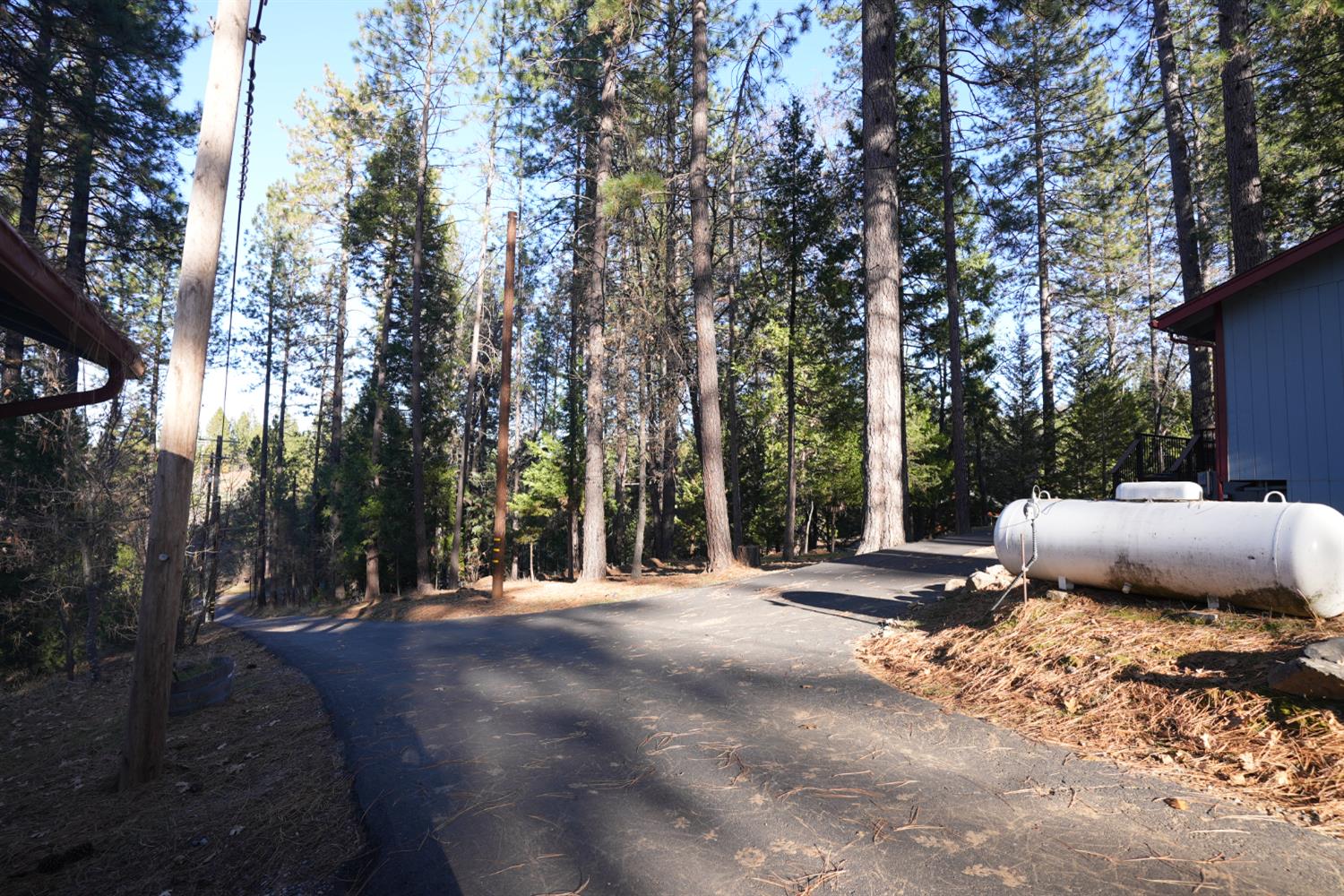 23625 Rock Hammer Road Groveland, CA 95321 - Photo 37 of 40 a view of a outdoor space with trees