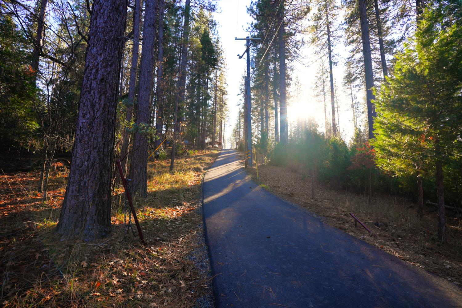 23625 Rock Hammer Road Groveland, CA 95321 - Photo 38 of 40 a view of a yard with trees