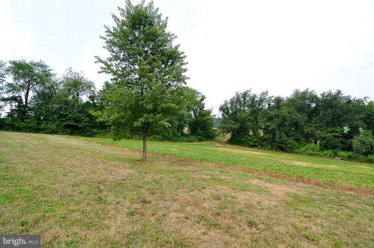 14441 Black Ankle Road Mount Airy, MD 21771 - Photo 11 of 25 a house with trees in the background