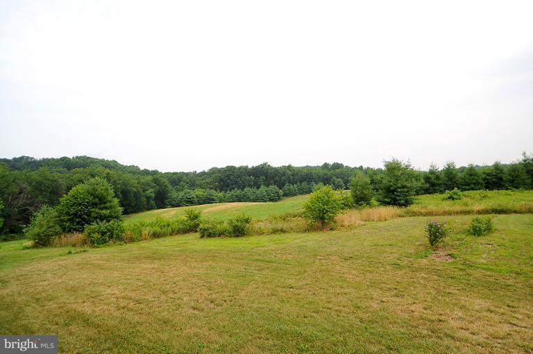 14441 Black Ankle Road Mount Airy, MD 21771 - Photo 17 of 25 a view of lake and green valley