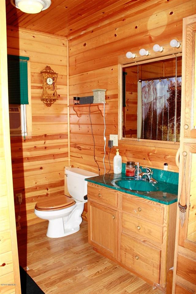 3993 West Waterwheel Road Northwest Stanton, MI 48888 - Photo 40 of 47 Gallery Image 40