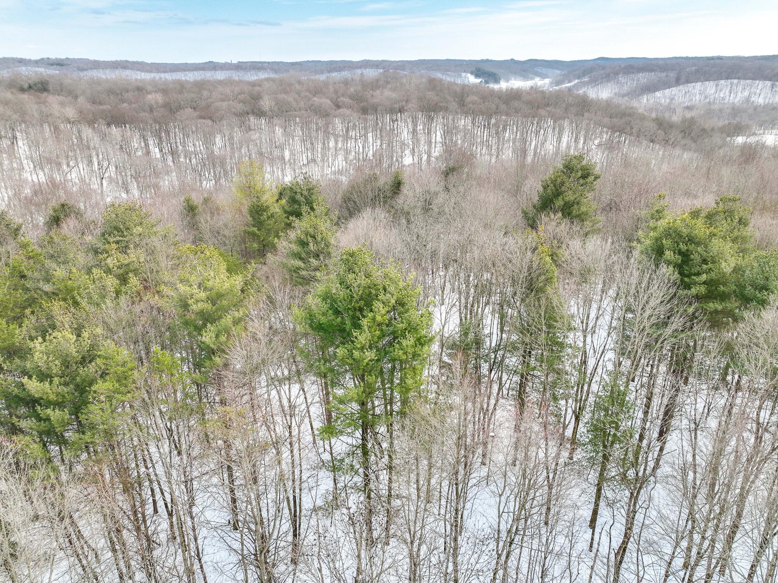 0 Ansel Road Logan, OH 43138 - Photo 7 of 39 Ansel Rd drone-7