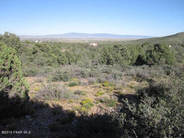 a view of a city with lush green forest