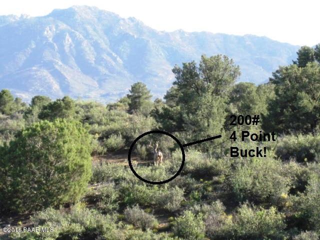 12875 North Zoro Road Prescott, AZ 86305 - Photo 7 of 7 4point buck