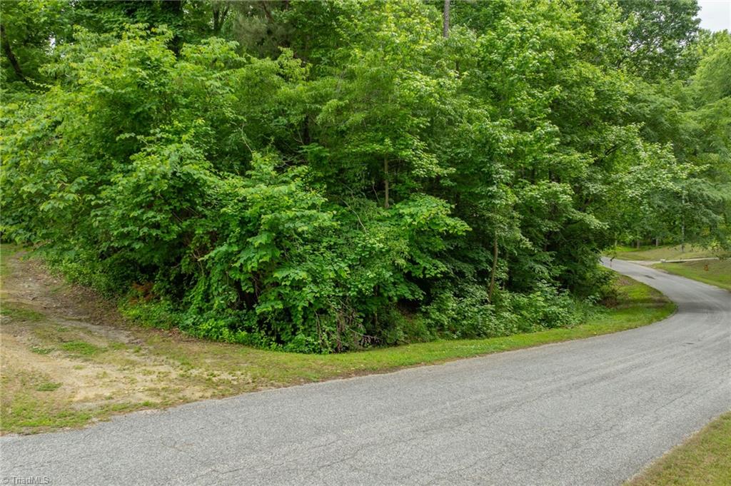0 Laura Lane High Point, NC 27262 - Photo 5 of 6