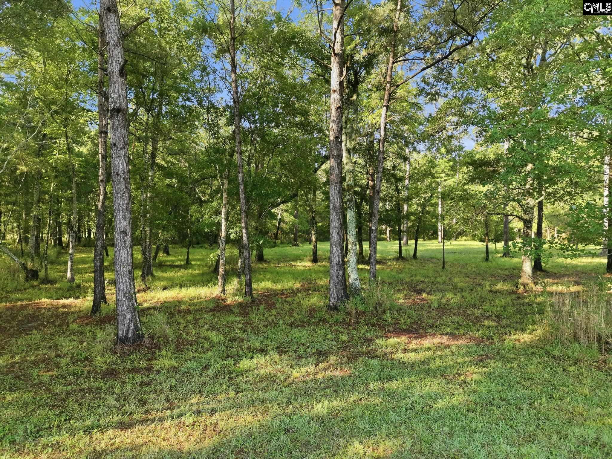 1047 Fortview Road Jamestown, SC 29453 - Photo 27 of 38