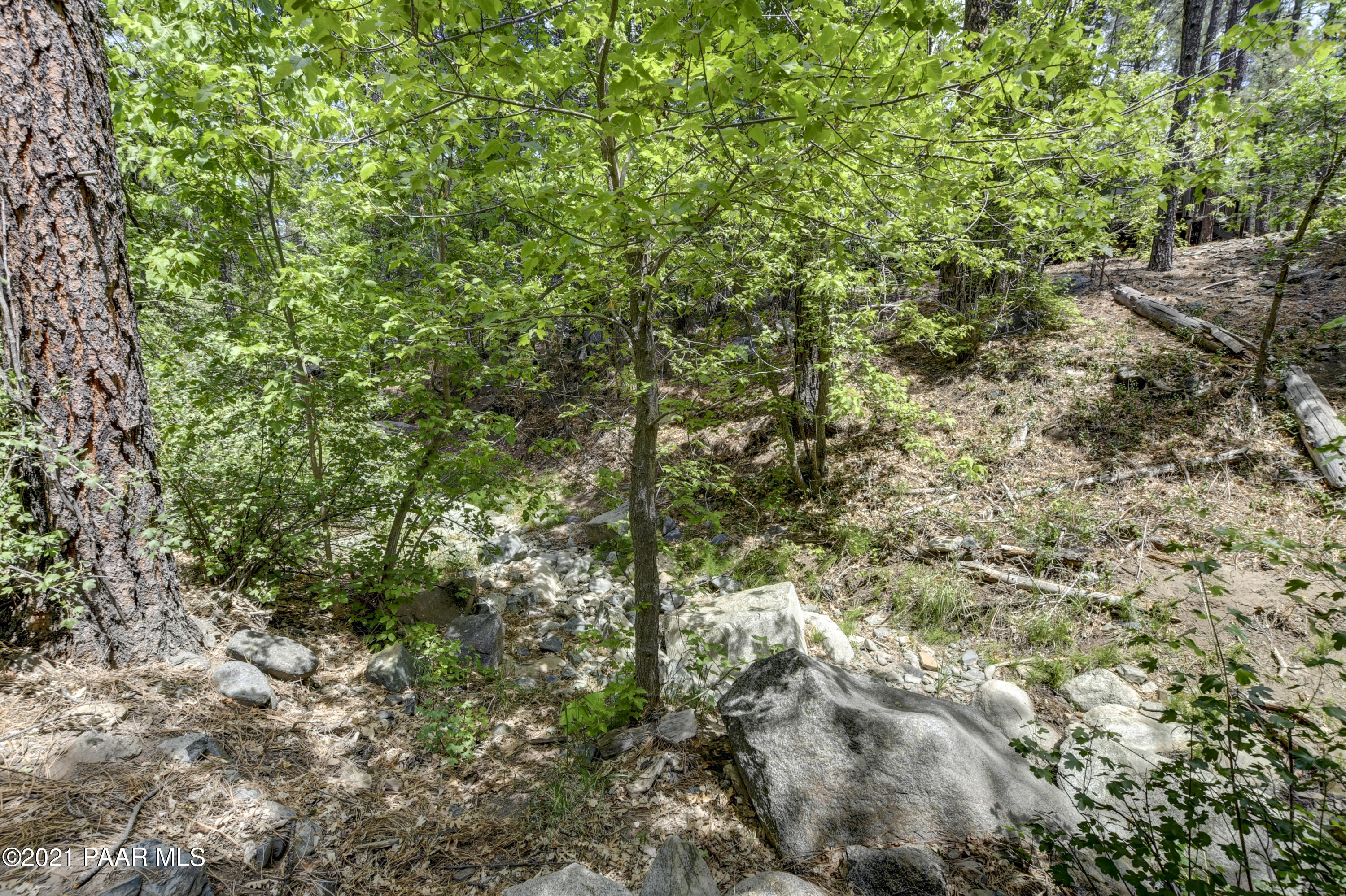 1155 East Stagecoach Road Prescott, AZ 86303 - Photo 20 of 25 Back Yard 4- Seasonal Creek