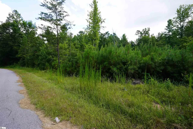 $125,000 | 299 Lakeside Drive, Six Mile, SC 29682