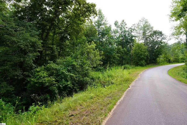 $125,000 | 299 Lakeside Drive, Six Mile, SC 29682