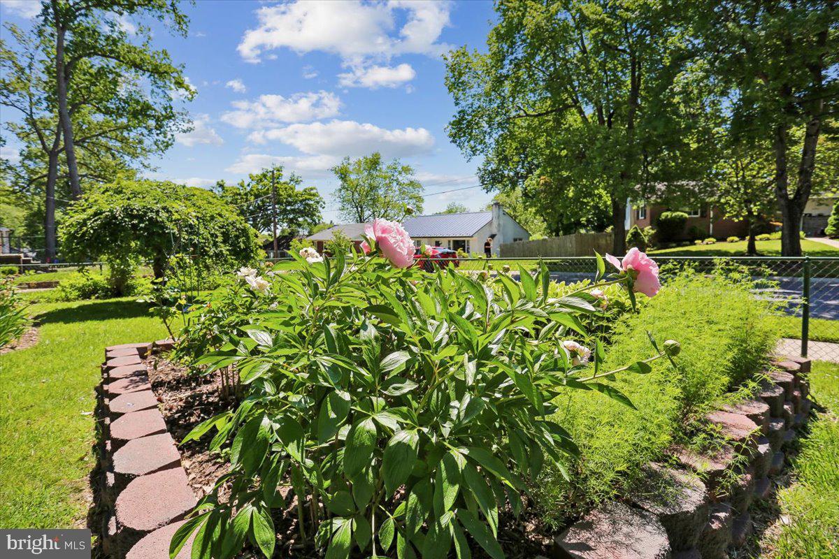 10701 Brunswick Avenue Silver Spring, MD 20902 - Photo 43 of 50 Beautiful Flower Beds