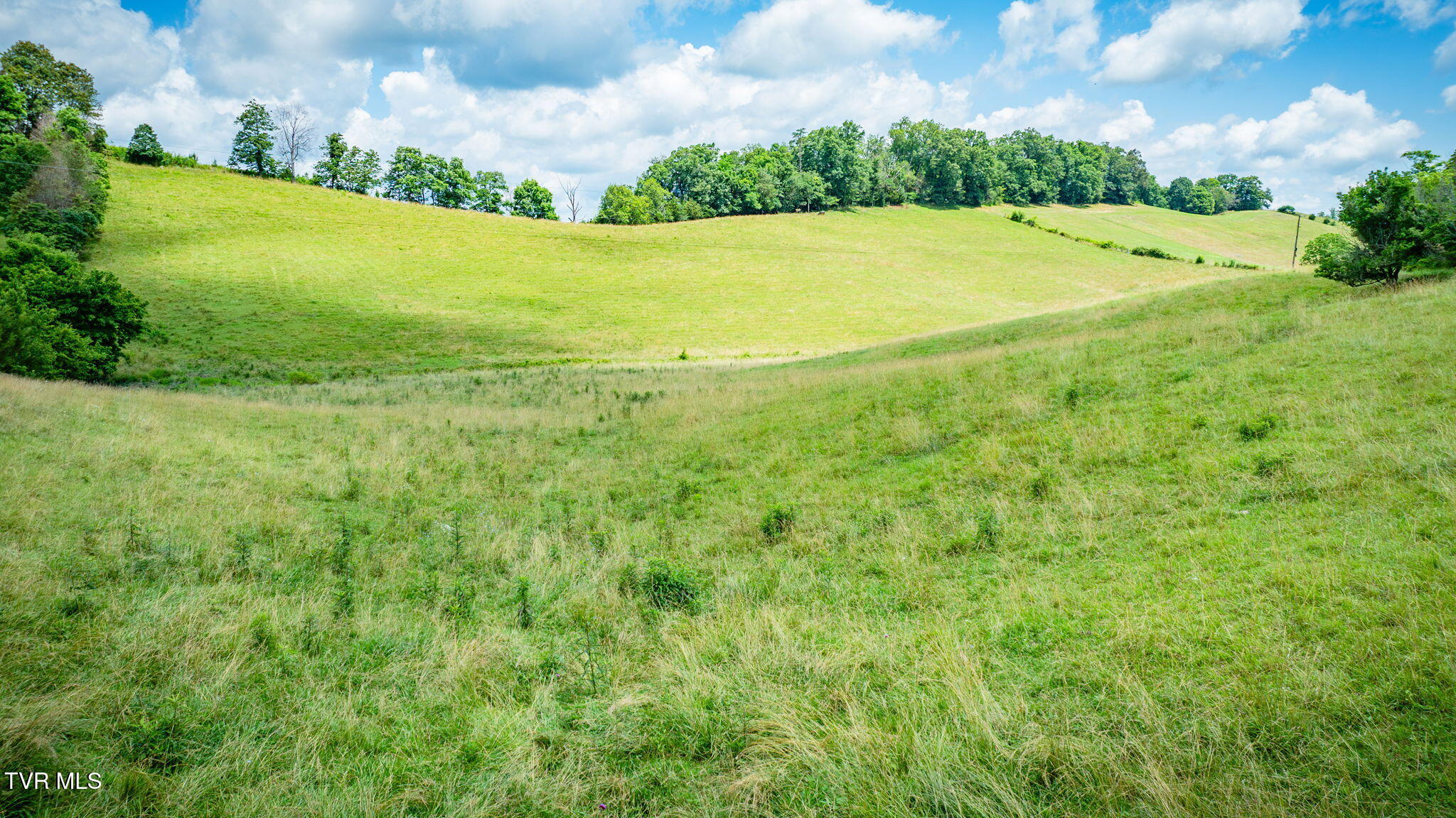 Tbd Longtown Road Bulls Gap, TN 37711 - Photo 4 of 20 118