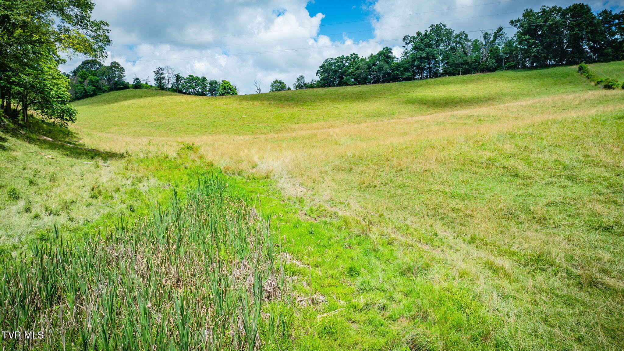 Tbd Longtown Road Bulls Gap, TN 37711 - Photo 5 of 20 119